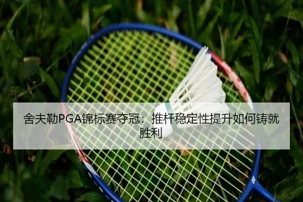 she-fu-lei-jin-biao-sai-duo-guan-tui-gan-wen-ding-xing-ti-sheng-ru-he-zhu-jiu-sheng-li-2-686.jpg