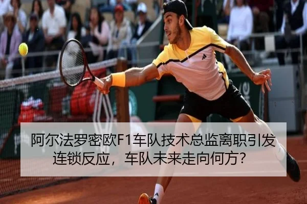 a-er-fa-luo-mi-ou-che-dui-ji-shu-zong-jian-li-zhi-yin-fa-lian-suo-fan-ying-che-dui-wei-lai-zou-xiang-he-fang-2-241.jpg